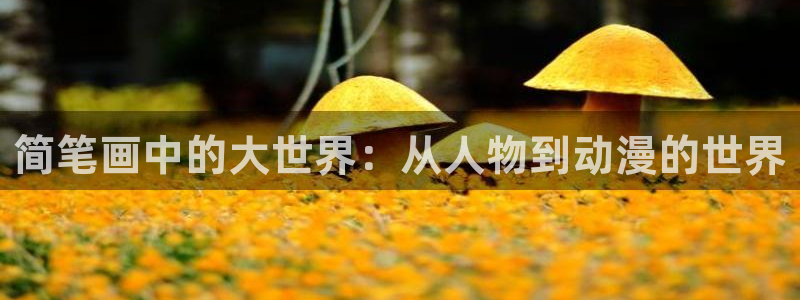 漫蛙app正版：简笔画中的大世界：从人物到动漫的世界