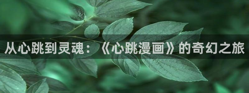 漫蛙2官网：从心跳到灵魂：《心跳漫画》的奇幻之旅